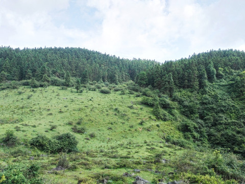 仙女山