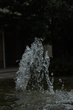 喷泉水花 水 水珠 喷水 晶莹