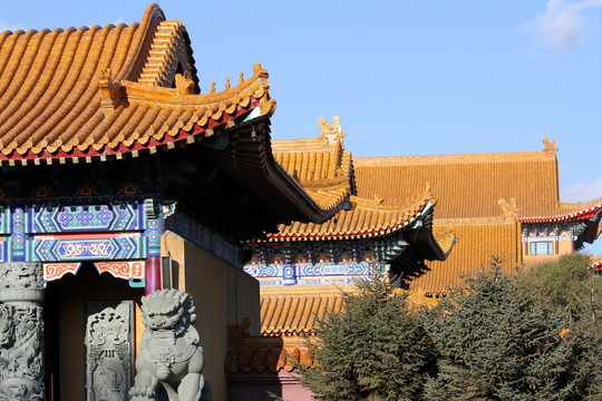 庙 大庆 果成寺 寺庙