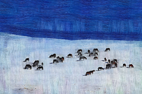 電腦油畫(huà) 雪原馬群