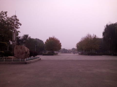 长青公园风景