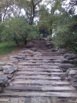 上山石台阶