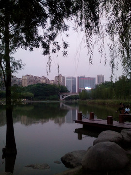 湖边杨柳