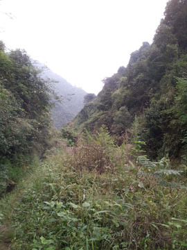山谷風(fēng)景
