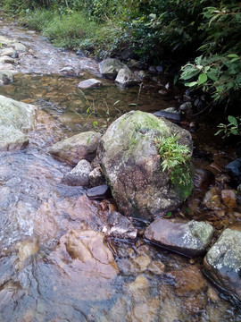 溪流清澈