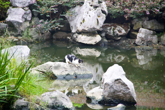 水景区