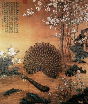 朗世寧 孔雀開屏圖