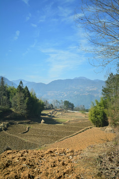 乡村田土