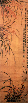 金農(nóng) 蘭花圖
