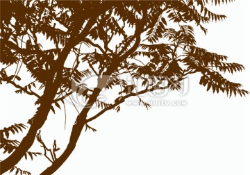 樹與鳥剪影 樹 樹木 樹葉 鳥