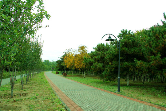 公園小路