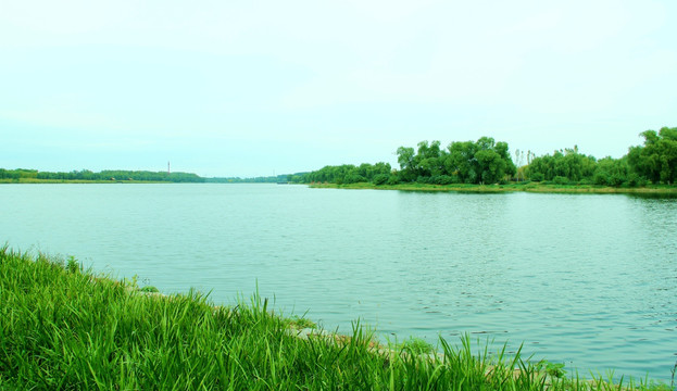 湿地