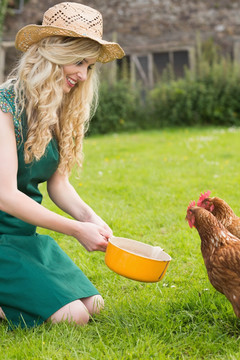 年轻的女人在喂鸡