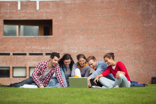 坐在草地上指着电脑的五个学生
