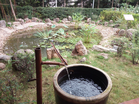 雨水花园