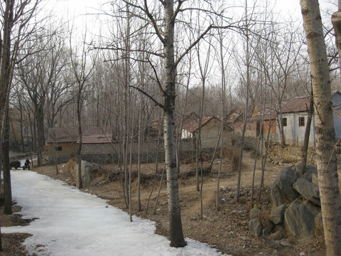 冬季村庄