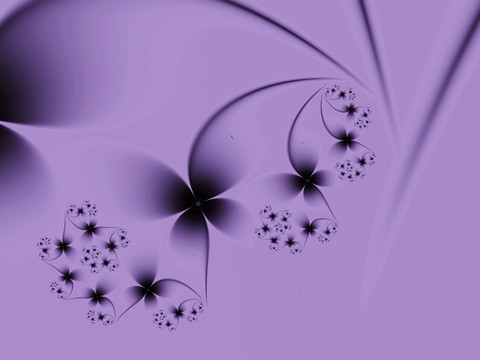 印花花卉