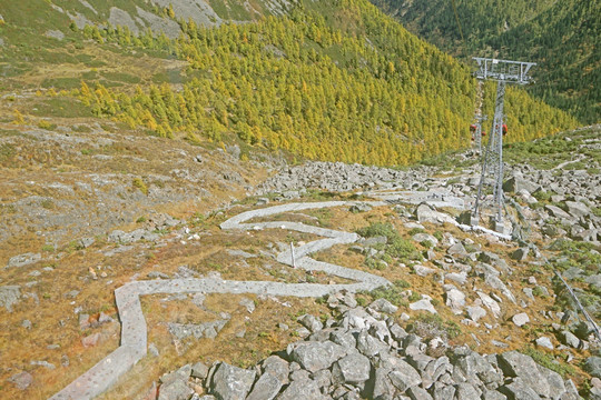 达古冰山登山道 低海拔彩林路段