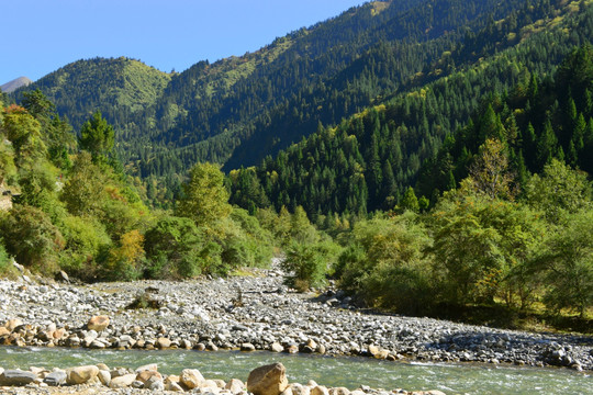 高原风光 河谷 山溪河流