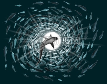 魚群圖