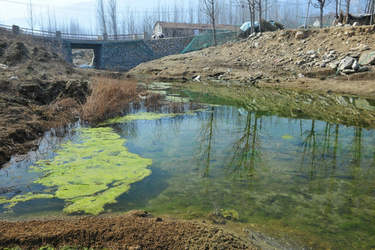 小河水   泉水