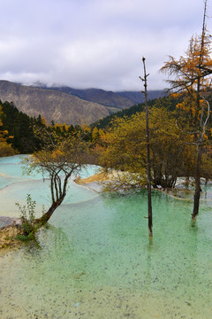 黄龙风景