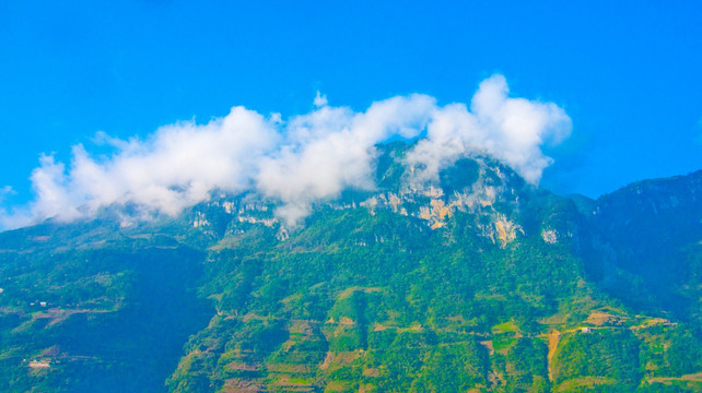 青山 白雾