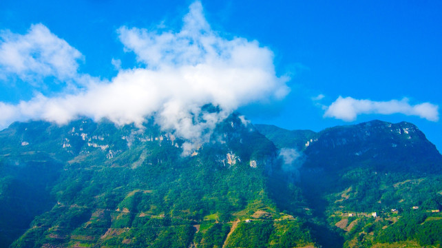 大山 晨雾