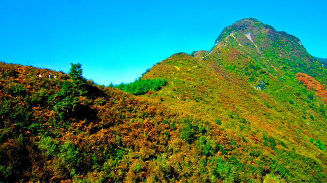 山脉 山峰