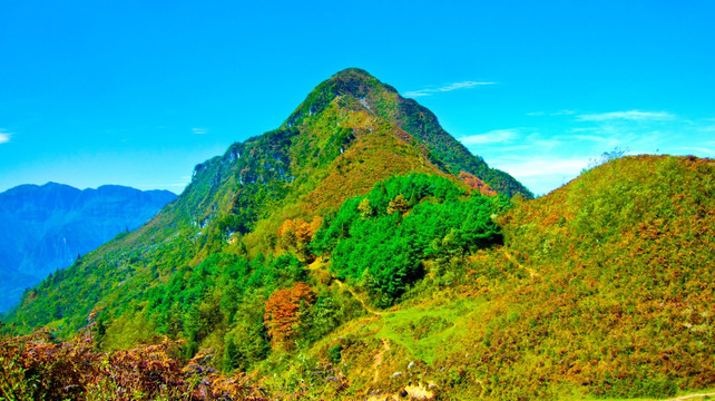 驼峰 山峰