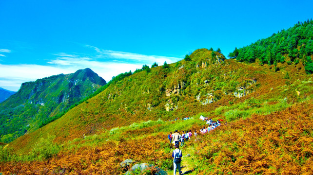 秋游 登山