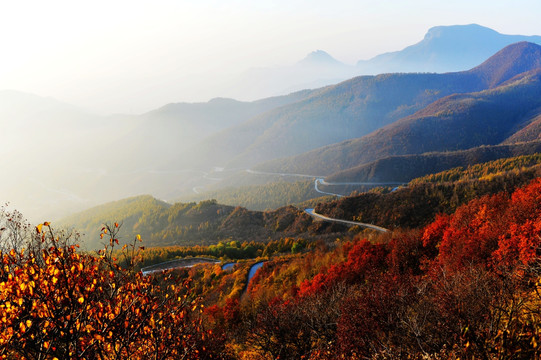 秋日百花山