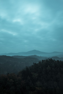 树木和山脉对云景