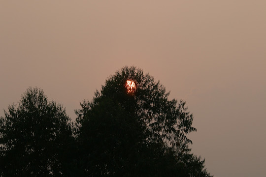 夕陽