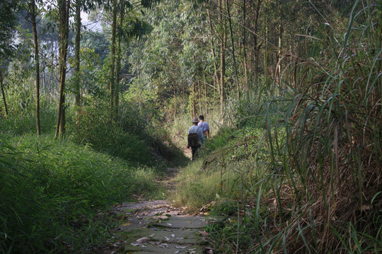 趕集路