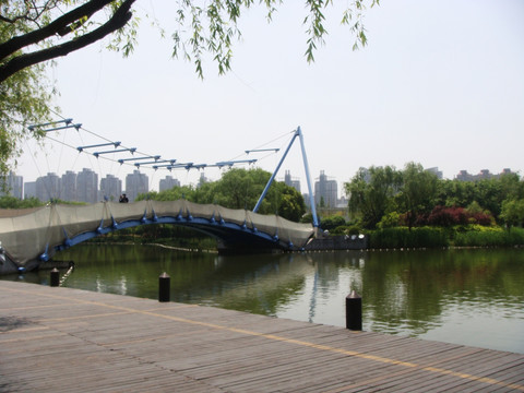 上海世纪公园