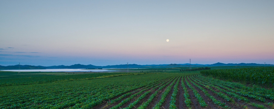 田野田园