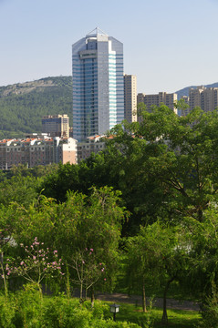 城市楼房和绿化风景
