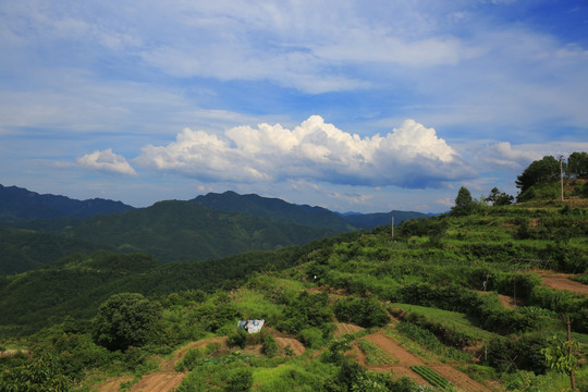 东阳天山村