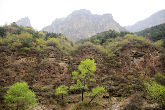 南太行郭亮景区大山