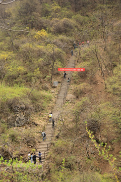 阶梯山道 登山石阶