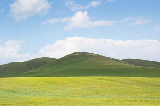 草原山坡