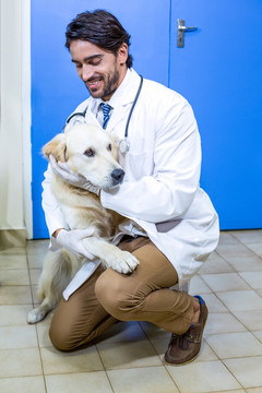 兽医抱着宠物狗