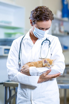 抱着一只小猫的女兽医