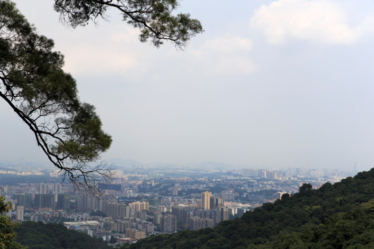 远眺广州都市景象