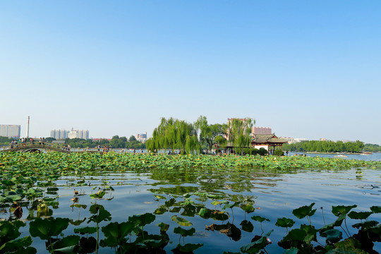 济南大明湖