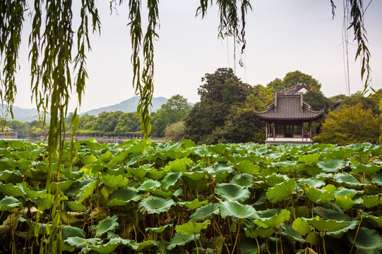 杭州西湖风光