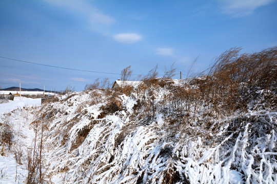 白雪皑皑