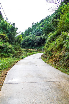 道路 山路