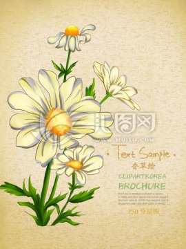 手繪花卉